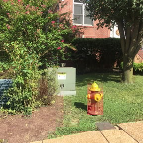Bush Trimming by GZAG reviewed on August 15, 2025