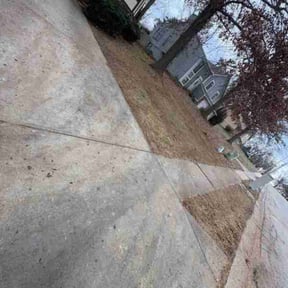 Leaf Removal by The Green Op reviewed on December 17, 2025