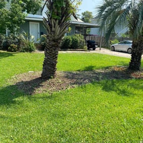 yard maintenance by Red Machine Landscaping reviewed on August 16, 2025