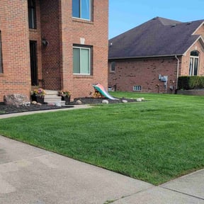 yard work by Skillz all lawn care services reviewed on August 19, 2025