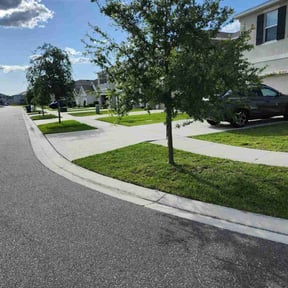 grass maintenance by Lawn eaters reviewed on August 17, 2025