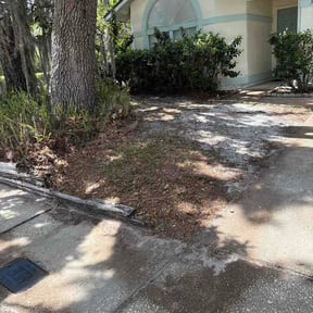 Leaf Removal by A&amp;A reviewed on May 10, 2026