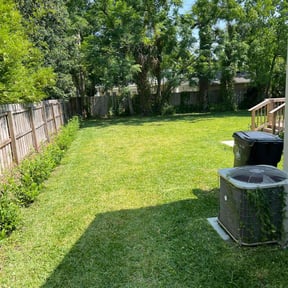 yard care by Toko Lawn Services reviewed on August 21, 2025