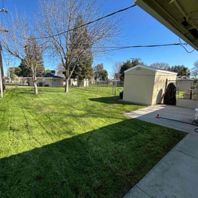 yard care by 5K Landscape reviewed on August 19, 2025