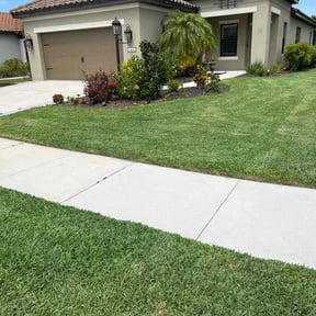 yard care by Terrence Wilburn ( TW Enterprise) reviewed on August 16, 2025