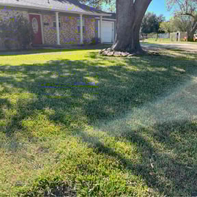 turf care by N.A.L Landscaping and Services LLC reviewed on August 16, 2025