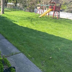 yard work by TJ’s lawn care reviewed on August 16, 2025