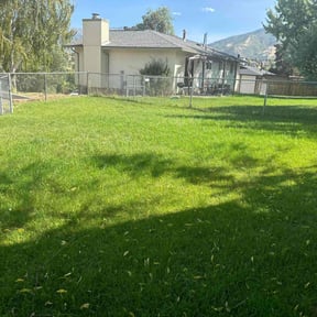 yard care by UZCO Excavation llc reviewed on August 15, 2025