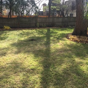 Leaf Removal by TurfWay PGM reviewed on September 6, 2025