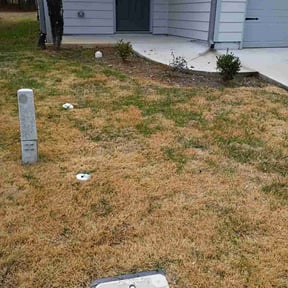 Leaf Removal by Cody Meyers Lawn Care LLC reviewed on December 27, 2025