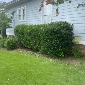 Bush Trimming by Happy grass lawn care reviewed on August 20, 2025