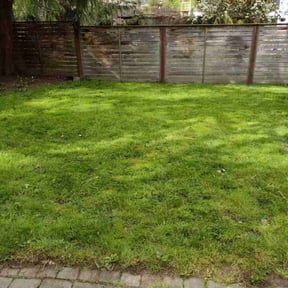 lawn maintenance by Heavenly Landscapes reviewed on March 19, 2024