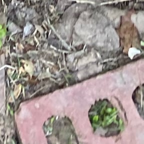 Flower Bed Weeding by Stone Mtn Lawncare reviewed on August 16, 2025
