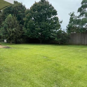 yard service by Yard pro reviewed on August 23, 2024