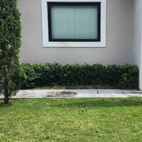 Bush Trimming by Keiths Landscaping reviewed on August 20, 2025
