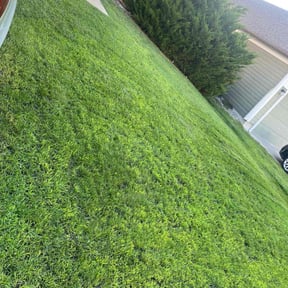 gardening service by Landscaping V&amp;K. reviewed on November 21, 2025