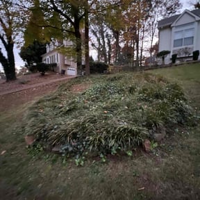 Bush Trimming by Walt's Lawn Care reviewed on August 21, 2025