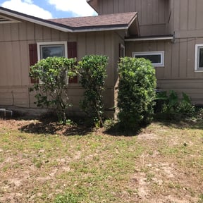 Bush Trimming by Re Image lawn care reviewed on November 23, 2025