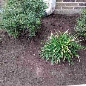 Flower Bed Weeding by A1 lawn care reviewed on December 11, 2025