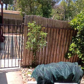 Bush Trimming by Sousa Lawn Care reviewed on May 13, 2026