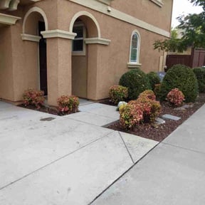 Bush Trimming by Gonzalez Landscaping reviewed on October 21, 2025