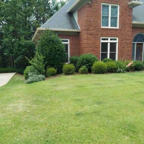 yard work by InAbind Mowing.. reviewed on August 15, 2025