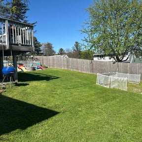 yard service by Cohen Lawn & Landscaping reviewed on August 15, 2025