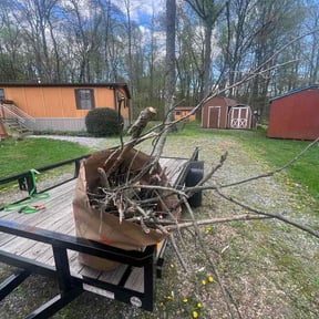 Leaf Removal by Alvarez tree service LLC reviewed on April 28, 2026