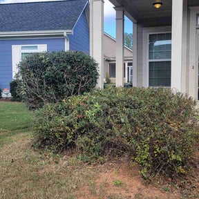 Bush Trimming by The Seventy Eight Lawn Care reviewed on August 18, 2025
