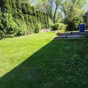 turf maintenance by Orozco reviewed on June 3, 2025