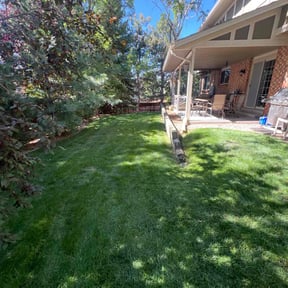 yard maintenance by 5280 Lawn Care reviewed on December 6, 2025