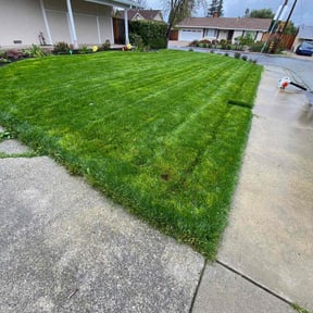 landscaping by Universal services rcr LLC reviewed on August 18, 2025