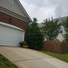 Bush Trimming by Julian's Lawn Care Service reviewed on August 19, 2025