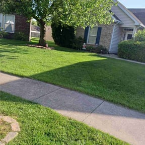 yard care by Green Priority reviewed on August 17, 2025
