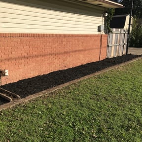 Bush Trimming by Felton Roberson landscaping reviewed on August 17, 2025