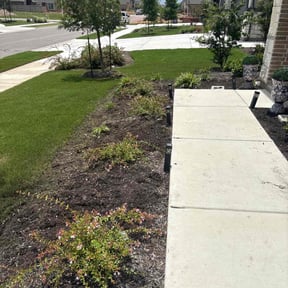 Flower Bed Weeding by In Between The Lines LLC reviewed on August 15, 2025