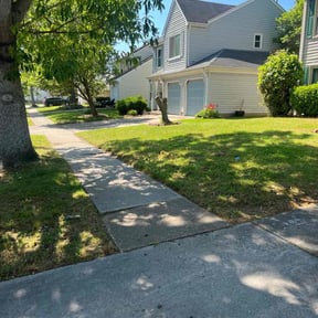 yard care by Ryan's Mowing LLC reviewed on August 21, 2025
