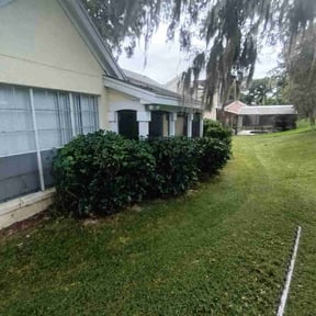 Bush Trimming by Green Earth Lawn and snow LLC reviewed on October 24, 2025