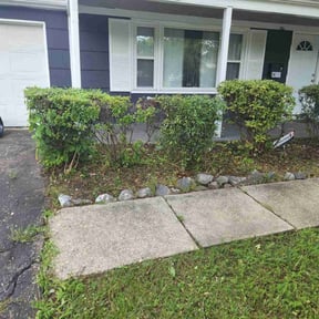Bush Trimming by Hargett lawn services reviewed on August 21, 2025