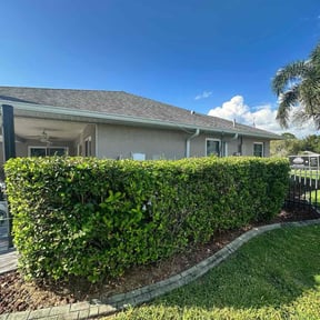 Bush Trimming by grass king reviewed on December 9, 2025