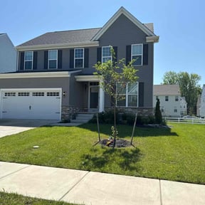 grass maintenance by Michael Dover Jr reviewed on August 16, 2025