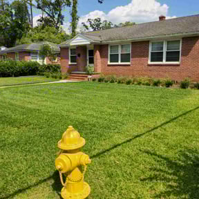 yard work by Kool Cutz Lawn Care reviewed on August 18, 2025