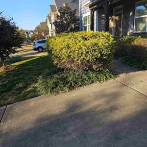 Bush Trimming by Jorge landscaping reviewed on May 17, 2025