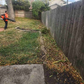 Bush Trimming by Bennett Lawn Maintenance reviewed on August 20, 2025