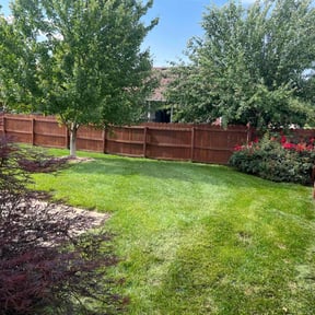 landscape maintenance by Knox Vegas Lawn Service reviewed on August 15, 2025