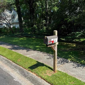 yard service by reviewed on August 20, 2025