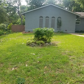 Bush Trimming by S&T OutDoors Solutions reviewed on August 18, 2025
