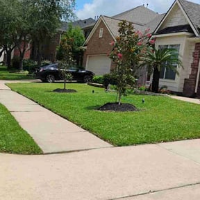 gardening service by Equip 1 reviewed on August 21, 2025