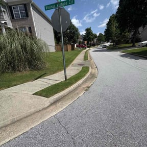 yard care by Harold Guzman's Landscaping reviewed on August 19, 2025
