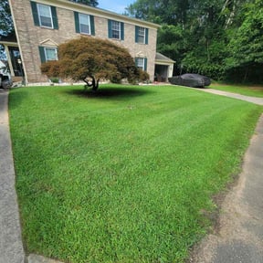 landscaping services by Lawn Care Company reviewed on May 29, 2025